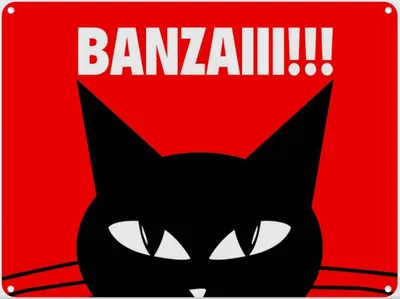 Produktbild von vianmo Blechschild 30x40 cm Katze Banzaiii!!!