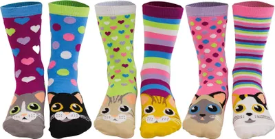 Produktbild von Oddsocks Catwalk Socken im 6er Set