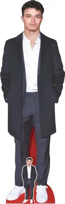 Produktbild von Pappaufsteller - Lando Norris - Suit - 59x179 cm