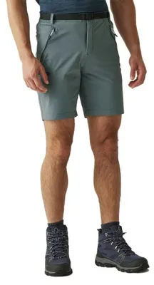 Produktbild von Regatta Xert Stretch Iii Kurze Hose Grau 52 / Regular Mann Grau 52