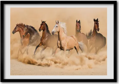 Produktbild von Bild - Bilderrahmen - 100 cm x 70 cm - MDF - Rahmen - Foto - Wandkunst Pferde Wüste