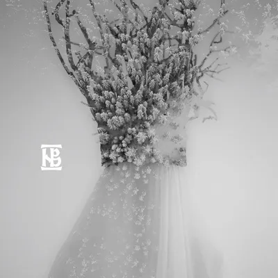 Image de Negura Bunget : Zau (digipack)