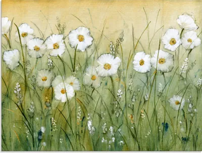 Produktbild von ARTland Glasbild Gänseblümchenfrühling II Größe: 60x45 cm