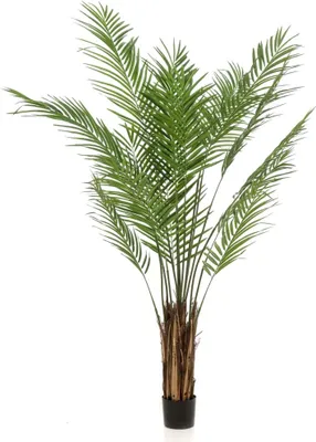 Zdjęcie produktu dla Emerald Emerald sztuczna palma 180 cm Grün