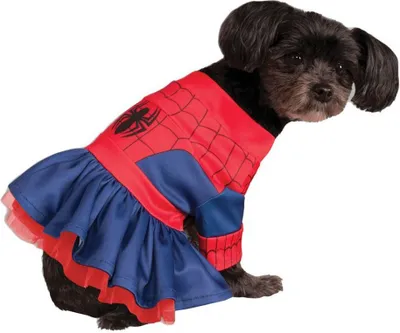 Produktbild von Spider-Girl Hundekostüm Hundegröße: L