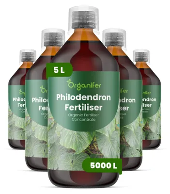 Produktbild von Philodendren Flüssigdünger 5x1L – 3-4-3 NPK – Flüssig-Pflanzendünger für Philodendren – Organifer