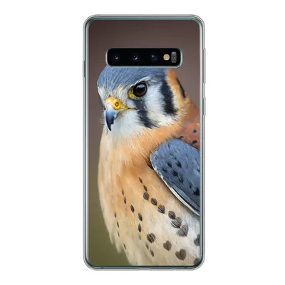 Produktbild von MuchoWow® Handyhülle Schutzhülle Hülle für Samsung Galaxy S10 Vogel - Makro - Blau Silikon Softcase Handy Hülle - Handytasche