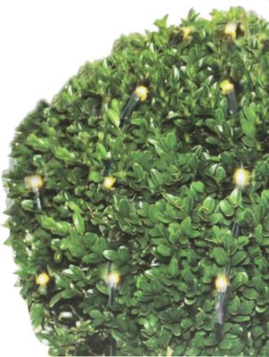 Buchsbaum Beleuchtung Ø 90cm - Lichternetz 100 LED