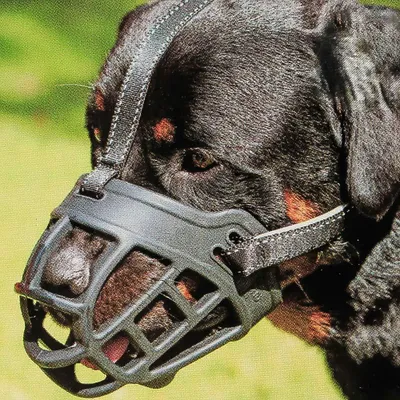 Produktbild von BARKLESS Hundemaulkorb, weicher Silikon-Maulkorb für Hunde, verhindert Beißen, K