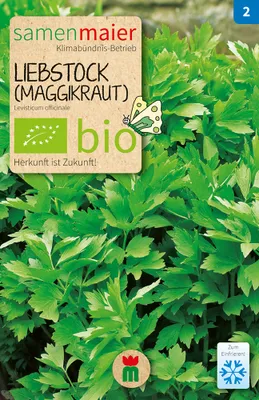 Produktbild von Liebstock -Maggikraut - Saatgut für zirka 20 Pflanzen