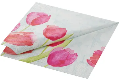 Immagine prodotto di Tovaglioli Duni Tulipani dipinti 33x33cm 3 veli 50 pz