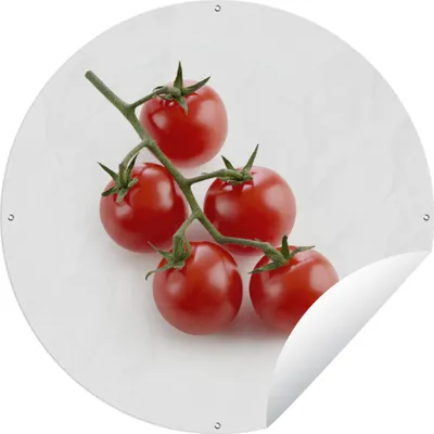 Produktbild von MuchoWow®