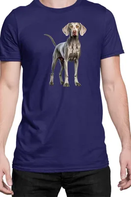 Immagine prodotto di Maglietta da uomo Dogs Breeds Weimaraner Dog Breed 005, Man L , Bleu foncé