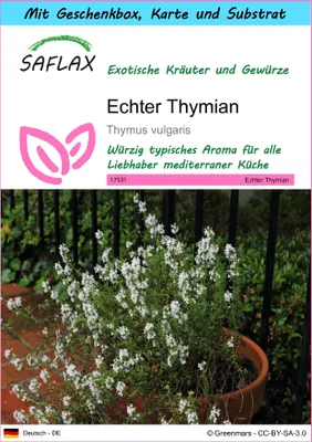 Produktbild von SAFLAX - Geschenk Set - Kräuter - Echter Thymian - 200 Samen - Mit Geschenk- / Versandbox, Versandaufkleber, Geschenkkarte und Anzuchtsubstrat - Thymus vulgaris