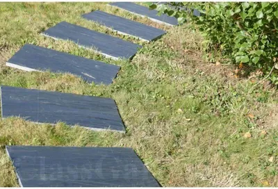 Produktbild von Trittplatte Rechteckig 100x50