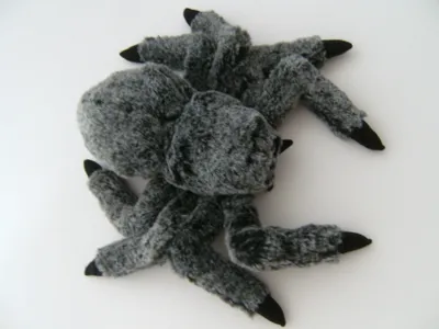 Produktbild von Plüschtier Spinne 30cm, grau,  Spinnen Kuscheltiere Stofftiere Vogelspinnen Tarantel Halloween