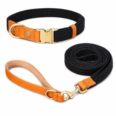 Produktbild von Hundeleine & Halsband Set aus Nylon mit Leder – robust, hochwertig, 1,5 m Leine – für kleine & große Hunde 7 Farben verfügbar schwarz Größe M