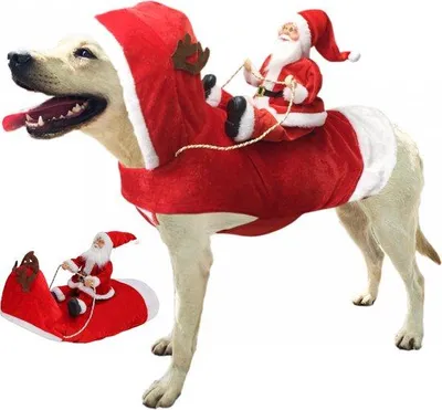 Produktbild von Wollene Hundekleidung - Weihnachtsoutfit für Hunde - Warme Wolle - Sicherheit - Kleidung für kleine große Hunde