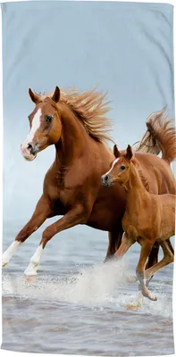 Produktbild von Beach towel Good Morning 75x150 cm - horses