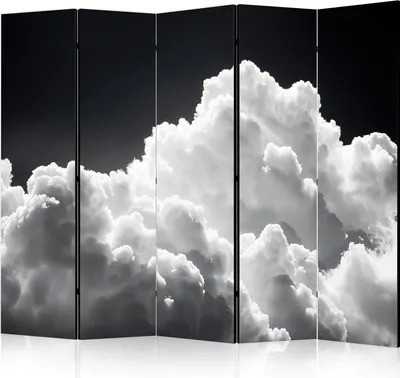 Obrázek produktu pro Oboustranný paraván Landscapes 225x172 cm 5dílný černý