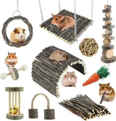 Produktbild von Hamster Spielzeug Set | Apfelholz Sticks Leiter Bell Roller