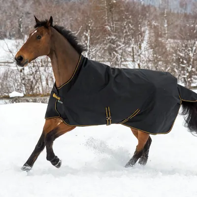 Produktbild von Bucas Outdoordecke 300g Irish Turnout High Neck Weidedecke Black/ Gold 120