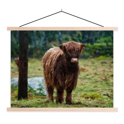 Produktbild von MuchoWow® Textilposter Schottischer Hochländer - Wald - Moos 120x90 cm mit holzfarbenen Rahmen - Magnetisch