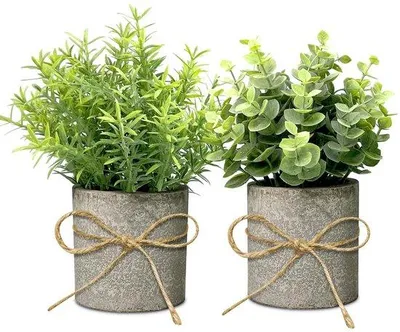 Produktbild von Kunstliche Eucalyptuspflanzen, kunstliche Pflanzen für Balkon und Badezimmer, dekorative Kunstpflanzen, Kunstpflanzen mit Töpfen, 2 Stück.