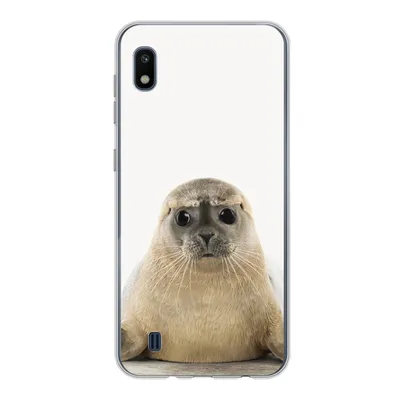 Produktbild von MuchoWow® Handyhülle Schutzhülle Hülle für Samsung Galaxy A10 Robbe - Tiere - Kinder - Jungen - Mädchen - Kinder Silikon Softcase Handy Hülle - Schutzhülle