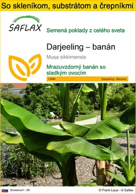 Obrázok produktu pre SAFLAX Kultivačný set - Darjeeling – banán - Musa sikkimensis - 5 Semená - S mini skleníkom, pestovateľským substrátom a 2 črepníkmi