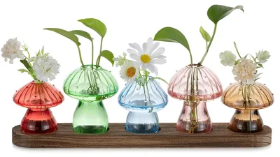 Immagine prodotto di Set di 5 vasi in vetro con base in legno, ideali per un terrario di piante
