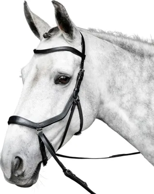 Produktbild von Horseware Micklem Bitless Bridle