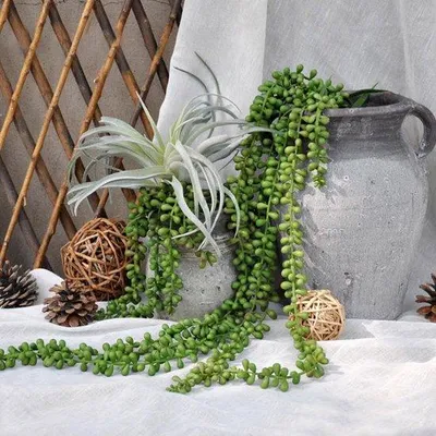 Produktbild von Unyqoos® Künstliche Sukkulenten – grüne Kunstpflanzen mit realistischen Stängeln & Blättern, 25 cm Höhe, Ø 32 cm, wasser- & UV-beständig, für Vase, Topf & Beet