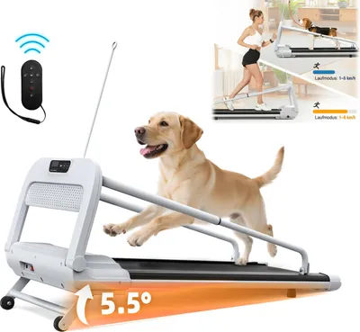 Produktbild von 2 in 1 haustier- laufba, Hundelaufband , 1-6KM/H, bis 135 kg, Laufband, 5,5° Hubwinkel, Fitnessgerät für aktive Haustiere ,125*56*96,5 cm