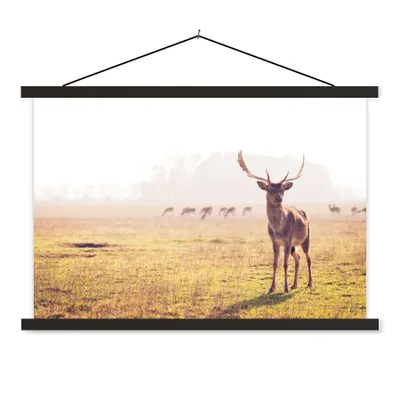 Produktbild von MuchoWow® Textilposter Hirsche - Geweihe - Gras 60x40 cm mit schwarzem Rahmen - Hölzernes