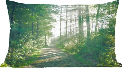 Produktbild von MuchoWow® Zierkissen Sofakissen Wohnzimmer Dekokissen 50x30 cm Wald - Weg - Sonne - Bäume - Grün - Natur - Wohnzimmerdekoration - Polster mit Photo