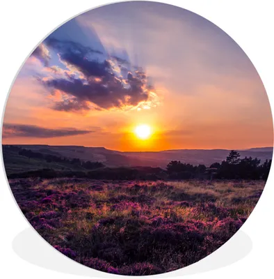 Produktbild von MuchoWow® Rundes Wandbild - Runde Bilder Sonnenuntergang in der Heidelandschaft Ø 90 cm Kreis Wanddekoration Kunststoff - Wandkreis - Wandschmuck - Wand-Kreis - Wohnzimmer - Bild - Runde - Wanddeko - Dibond - Kunstdrucke