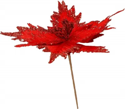 Immagine prodotto di Stella di Natale su stelo 31x35 cm rossa, decorazione natalizia