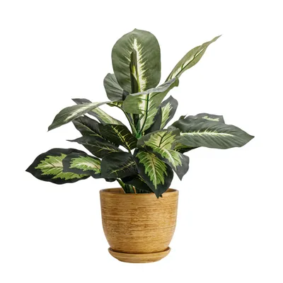 Obrázek produktu pro Keramický květináč Kulatý s podšálkem světle hnědá 19 cm lesk s drenážním otvorem