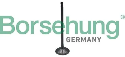 Obrázek produktu pro Borsehung B10323 Sací ventil pro BMW 3 Touring (E91)