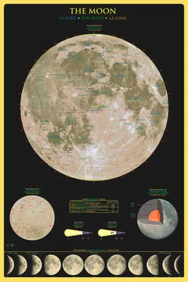 Obrázek produktu pro Vzdělávací - Vzdělávání Moon Moon - plakát Print - Velikost 61x91,5 cm