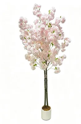 Produktbild von Künstlicher Kirschblütenbaum - Seidenblume - Hellrosa A - 180 cm - Im Topf - Innendekoration - Naturgetreue Blüten