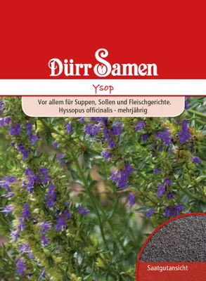 Produktbild von Ysop | Kräutersamen von Dürr Samen
