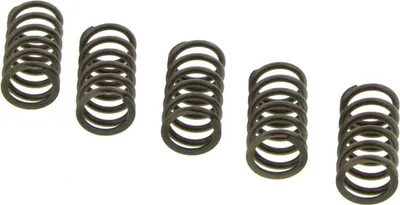 Produktbild von CSK192 EBC Premium Kupplungsfedern-Kit
