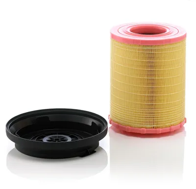 Image de Mann + Hummel Filtre à air C 29 010 KIT