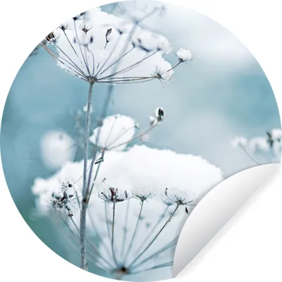 Produktbild von MuchoWow® Runde Wandtattoo - Wandsticker Tapete Aufkleber Schnee - Blumen - Winter - Zweige Ø 100 cm Selbstklebend und Repositionierbar - Wandaufkleber - Kreis - Tapetenkreis - Wandbild rund - Schlafzimmerdekoration - Wanddeko - runde Tapete - Kunst für zu Hause