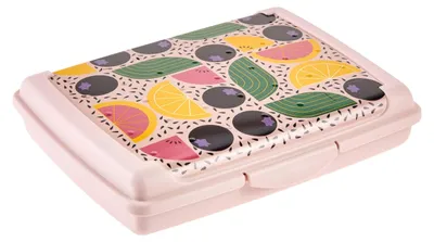 Produktbild von Handy Lunchbox, 0,5 l, Mini, 17 x 13 x 3,5 cm, Modern Fruits, Rosa (Nordic Pink)