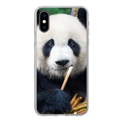 Produktbild von MuchoWow® Handyhülle Schutzhülle Hülle für iPhone X Panda - Bambus - Natur Silikon Softcase Handy Hülle - Handyhülle