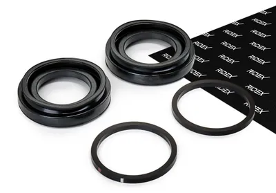 Produktbild von RIDEX Bremssattel-Reparatursatz für VW Golf V Schrägheck (1K1) Hinten 405R0098