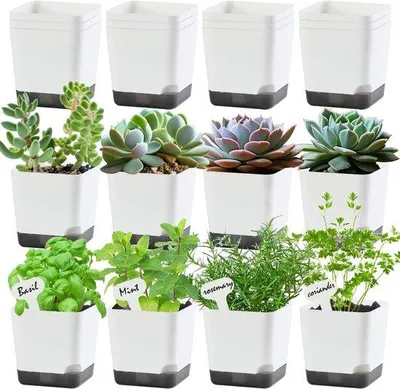 Image de Lot de 20 petits pots en plastique de 7,6 cm, pour plantes d'intérieur et d'extérieur, pots décoratifs blancs avec trous de drainage